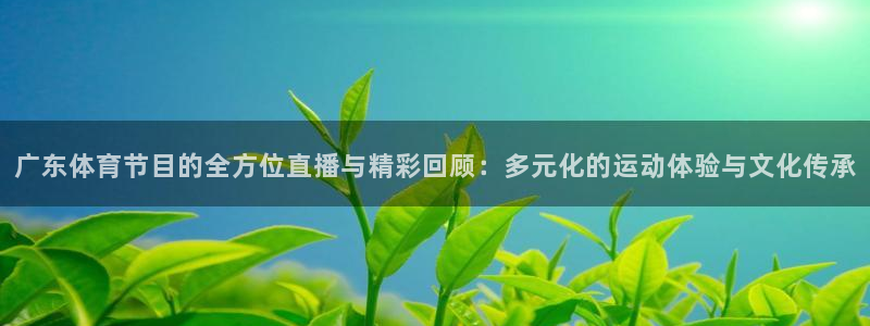 蓝鲸体育直播在线观看免费：广东体育节目的全方位直播与精彩回顾：多元化的运动体验与文化传承