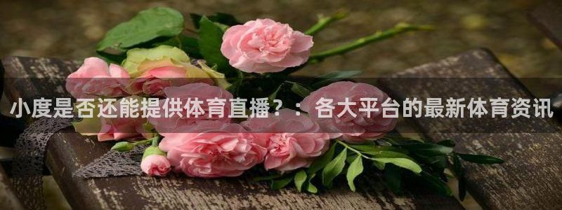 蓝鲸直播平台官网：小度是否还能提供体育直播？：各大平台的最新体育资讯