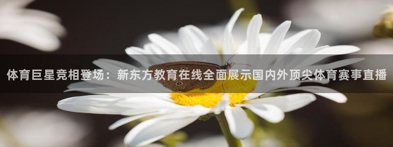 蓝鲸的视频真实：体育巨星竞相登场：新东方教育在线全面展示国内外顶尖体育赛事直播