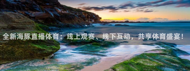 蓝鲸直播体育免费直播：全新海豚直播体育：线上观赛、线下互动，共享体育盛宴！