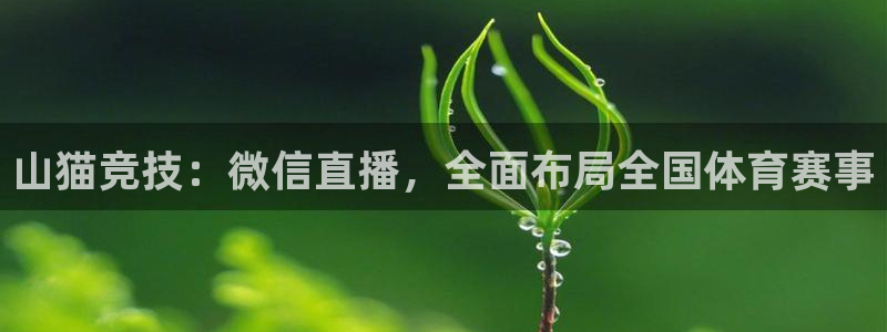 蓝鲸直播官网：山猫竞技：微信直播，全面布局全国体育赛事