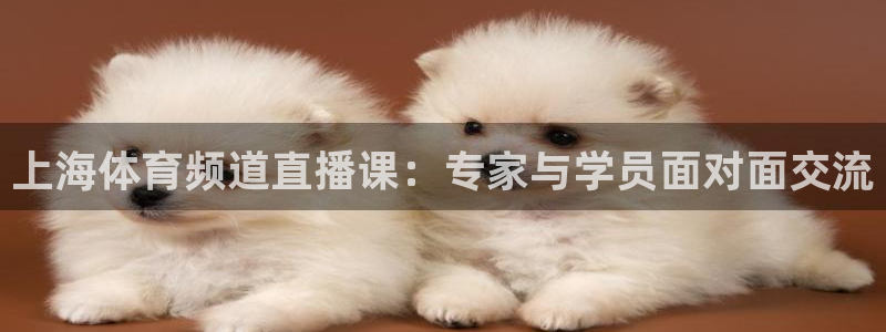 蓝鲸体育直播app免费：上海体育频道直播课：专家与学员面对面交流