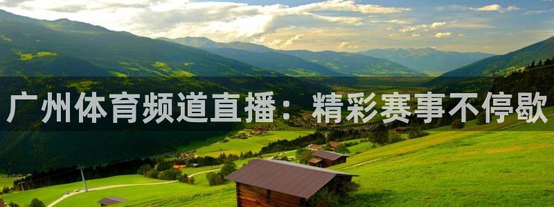 蓝鲸直播体育appv3.新地址.org：广州体育频道直播：精彩赛事不停歇