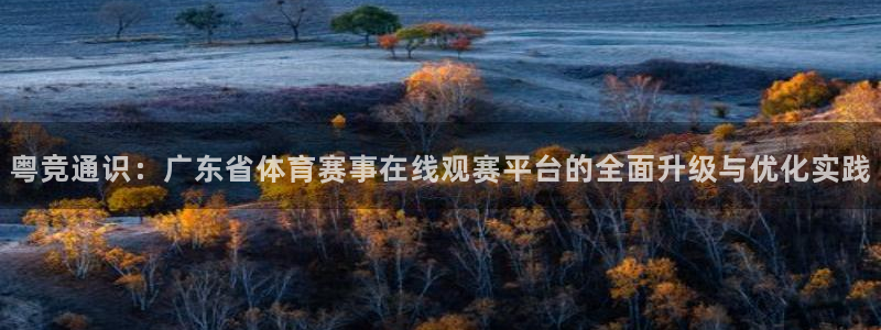 蓝鲸体育直播手机版：粤竞通识：广东省体育赛事在线观赛平台的全面升级与优化实践