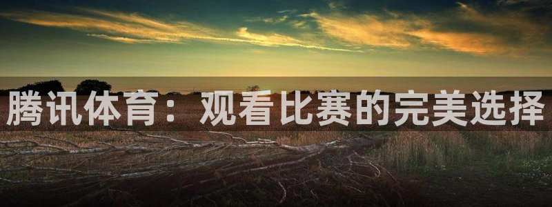 蓝鲸直播体育在线观看：腾讯体育：观看比赛的完美选择