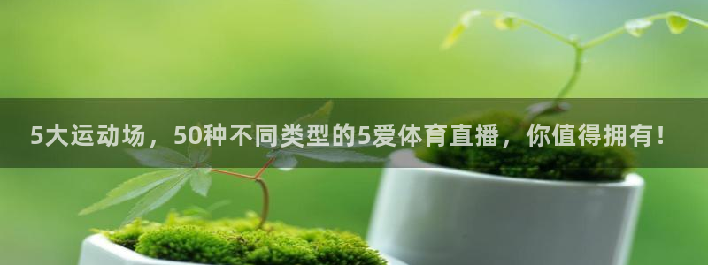 蓝鲸直播：5大运动场，50种不同类型的5爱体育直播，你值得拥有！