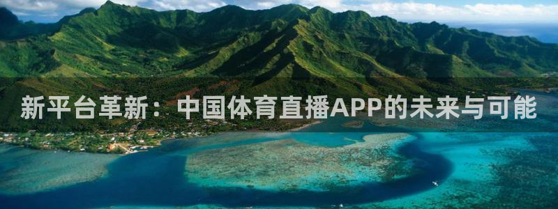 蓝鲸体育直播入口：新平台革新：中国体育直播APP的未来与可能