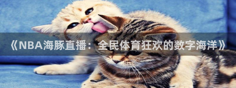 蓝鲸直播体育：《NBA海豚直播：全民体育狂欢的数字海洋》